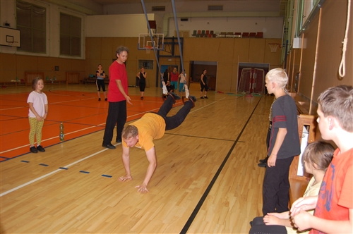 Obrázek v galerii